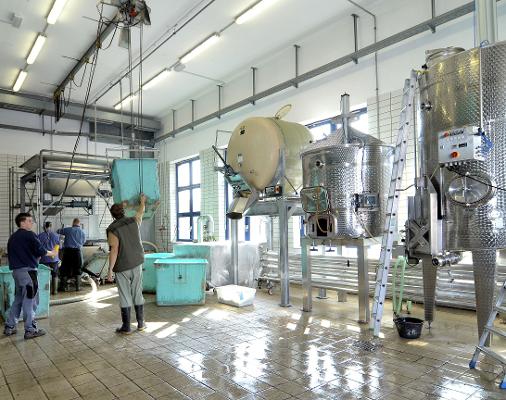 Weinlese Keller Technik